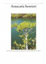 The Genus Araucaria
