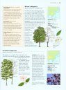 Trees: An Illustrated Identifier and Encyclopedia
