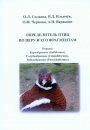 Identification Book of Birds, Based on Feathers or their Fragments [Russian]