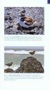 Field Guide to Birds of the Northern California Coast