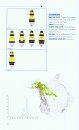 Bumble Bees of North America