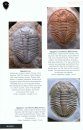 Trilobites of the World