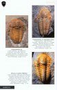 Trilobites of the World