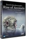 David Attenborough's Rise of Animals (Region 2)