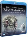 David Attenborough's Rise of Animals (Region 2)