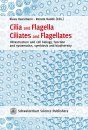 Cilia and Flagella – Ciliates and Flagellates 