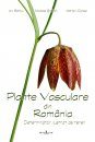 Plante Vasculare din România [Vascular Plants of Romania]