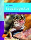 Leopardgeckos [German]