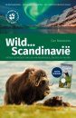Wild Kijken in Scandinavië: Ontdek de Mooiste Natuur van Noorwegen, Zweden en Finland [Watching Wildlife in Scandinavia: Discover the Most Beautiful Nature in Norway, Sweden, and Finland]
