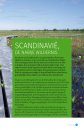 Wild Kijken in Scandinavië: Ontdek de Mooiste Natuur van Noorwegen, Zweden en Finland [Watching Wildlife in Scandinavia: Discover the Most Beautiful Nature in Norway, Sweden, and Finland]