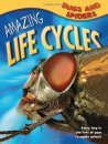 Amazing Life Cycles: Bugs and Spiders