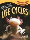 Amazing Life Cycles: Reptiles and Amphibians
