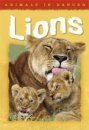 Animals in Danger: Lions