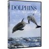 Dolphins: Spy in the Pod (Region 2)