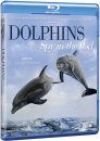 Dolphins: Spy in the Pod (Region 2)