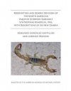 Redefinition and Generic Revision of the North American Vaejovid Scorpion Subfamily Syntropinae Kraepelin, 1905, with Descriptions of Six New Genera