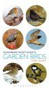 Bloomsbury Pocket Guide To Garden Birds