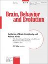 Evolution of Brain Complexity and Animal Minds