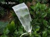 Insect Rearing Bag