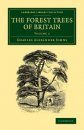 The Forest Trees of Britain, Volume 2
