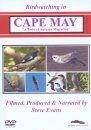 Birdwatching in Cape May (All Regions)
