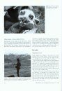 Observations on the Ecology of Arctic Foxes Alopex lagopus in Eqalummiut Nunaat, West Greenland