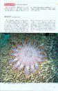 Hitodegaidobukku  [Sea Stars and Brittle Stars in Japanese Waters]