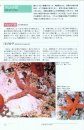 Hitodegaidobukku  [Sea Stars and Brittle Stars in Japanese Waters]