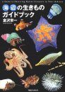 Umibe No Ikimono Gaidobukku [A Guide to Observing Marine Creatures in their Habitats]