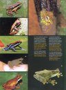Rapid Biological Inventories, Volume 25: Perú: Ere-Campuya-Algodón [English / Spanish]
