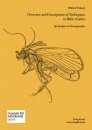 Overview and Descriptions of Trichoptera in Baltic Amber: Spicipalpia and Integripalpia