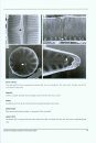 An Illustrated Guide to Common Diatoms of Peninsular India