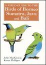 A Field Guide to the Birds of Borneo, Sumatra, Java and Bali