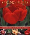 Spring Bulbs: An Illustrated Guide to Varieties, Cultivation and Care