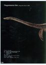 A Pictorial Guide to Paleontology: Prehistoric Aquatic Reptiles: Skeletal and Life Reconstructions of Some Mesozoic Aquatic Reptiles [English / Chinese]