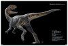 A Pictorial Guide to Paleontology: Dinosaurs of China, Volume 1: Skeletal and Life Reconstructions of Some Dinosaurs and Bird Fossils Found in China [English / Chinese]