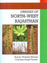Grasses of North-West Rajasthan