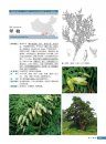 Rare and Endangered Plants in China [Chinese]