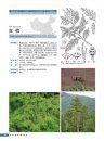 Rare and Endangered Plants in China [Chinese]