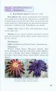 A Guide to Common Echinoderms of Andaman and Nicobar Islands