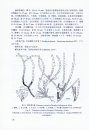 Flora Algarum Marinarum Sinicarum, Tomus 3: Phaeophyta (No. 1) [Chinese]