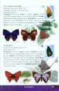 An Illustrated Field Guide to the Fauna of Sri Lanka, Volume 1: Butterflies