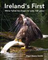 Ireland's First White Tailed Sea Eagle for Over 100 Years