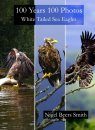 100 Years 100 Photos: White Tailed Sea Eagles