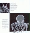 Art and Architecture of Insects