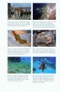 Marine Biodiversity Conservation