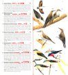 Field Guide to the Birds of the ACT