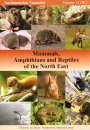 Mammals, Amphibians and Reptiles of the North East
