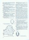 Flora Belarusi - Sosudistye Rasteniia, Tom 2 : Liliopsida [Flora of Belarus - Vascular Plants, Volume 2: Liliopsida]