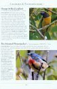 A Naturalist's Guide to the Birds of Hong Kong